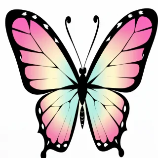 butterfly clipart transparent background