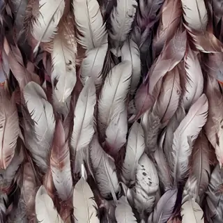 feather background