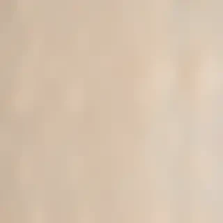 neutral colors background