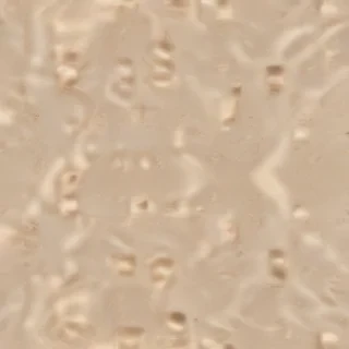 beige plain background