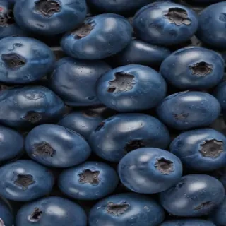 blueberry png