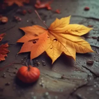 fall aesthetic wallpaper iphone