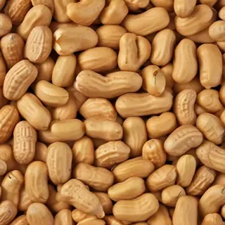 peanut png