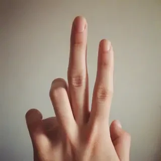 finger picture