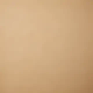grain paper texture