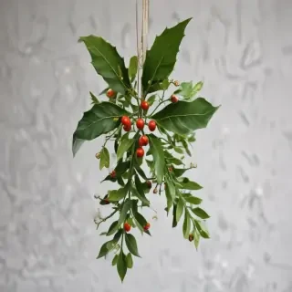 mistletoe png