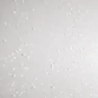 white background aesthetic