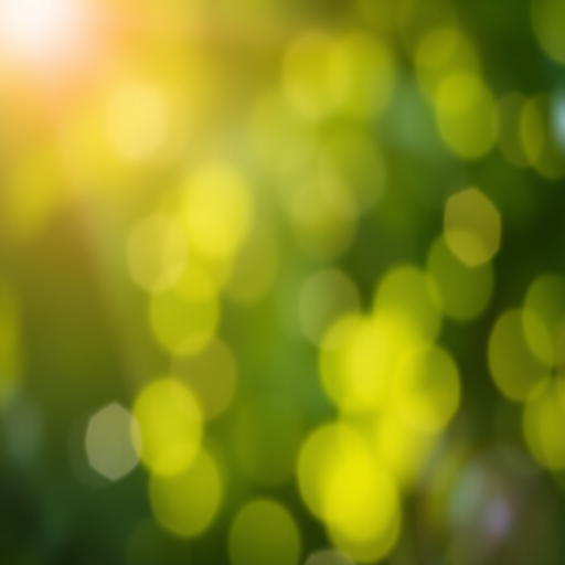 soft green bokeh background, aperture f/2.8, shutter speed 1/125, ISO 200, 50mm lens, shallow depth of field, shot from eye level, DSLR camera, high resolution