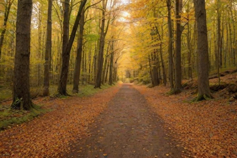 Sharp, high-resolution photo of a forest path covered in fallen autumn leaves, soft golden light streaming through the trees, distant mountains peeking through the foliage, and the feeling of crisp air and serenity.