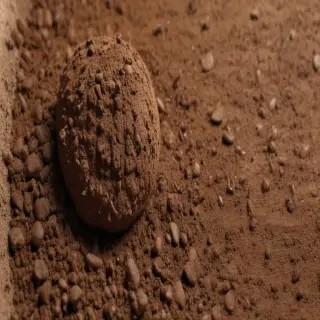 soil png