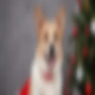 dog christmas background