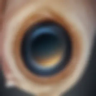 iphone neutral wallpaper