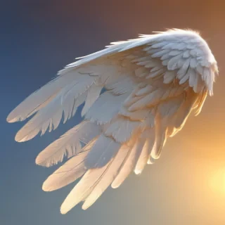 angel wing pictures