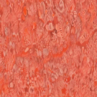 coral color