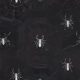 spider background