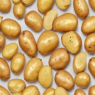 potato transparent background