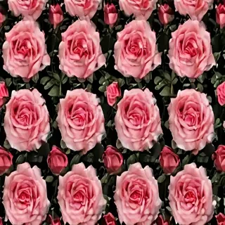 background roses wallpaper