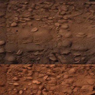 soil png