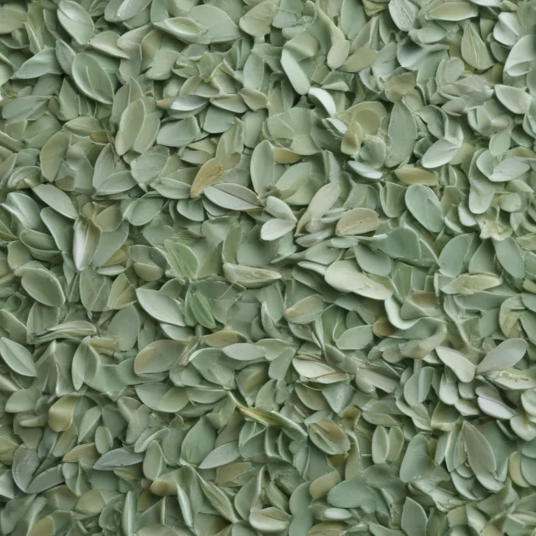 aesthetic sage green