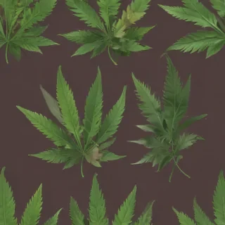 weed leaf png