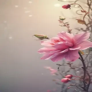simple wallpaper iphone