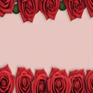 rose background images