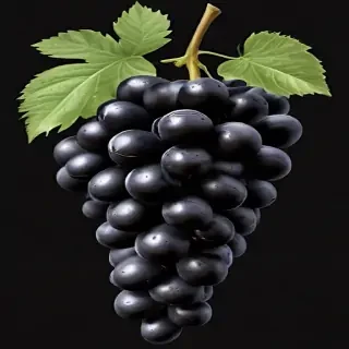 grapes clipart black and white