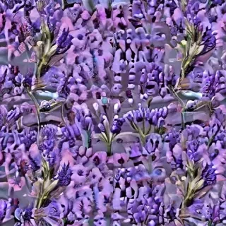 lavender phone background