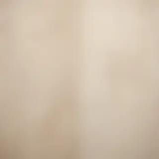neutral backgrounds
