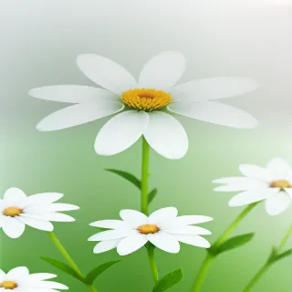 white flower transparent background