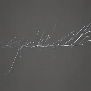 scratches png