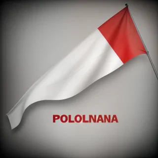 poland flag