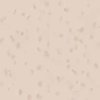 aesthetic neutral wallpaper