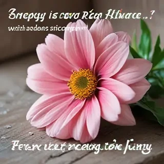 speedy recovery images