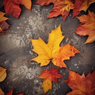 autumn background iphone