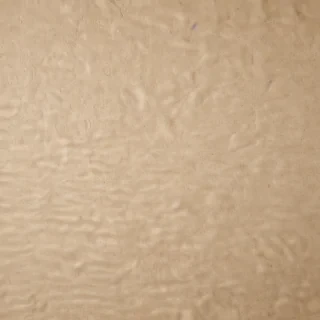 grain paper texture