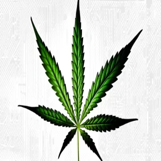 cannabis leaf png