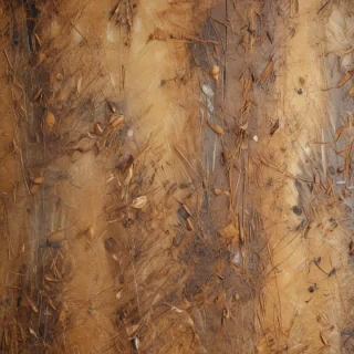 scratched texture
