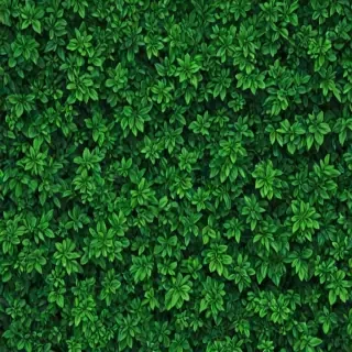 aesthetic green wallpapers