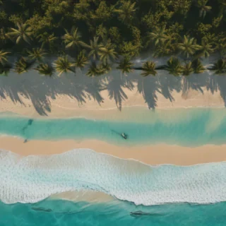 png beach