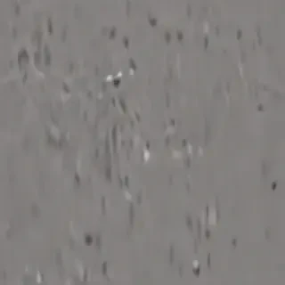 monotone