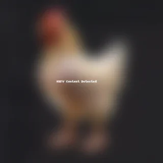 transparent chicken
