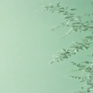 pastel green aesthetic wallpaper