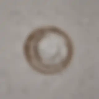 3 png