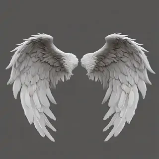 angel wings transparent background