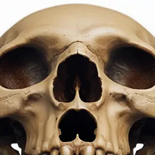png skull