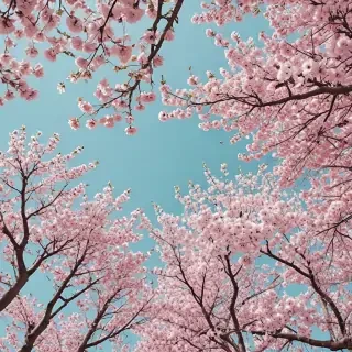 aesthetic spring wallpaper