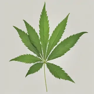 weed leaf png