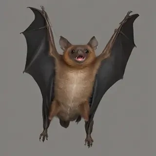 bat png