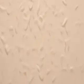 beige phone background